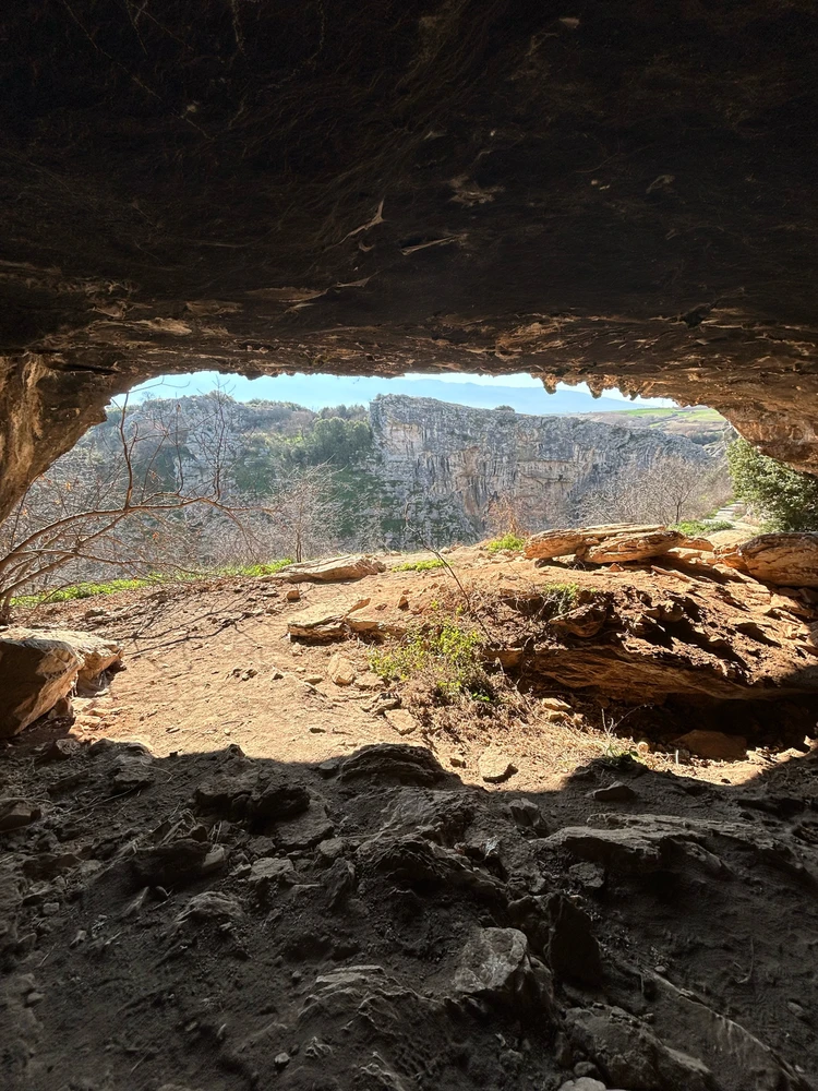 GIF uploaded by Platon