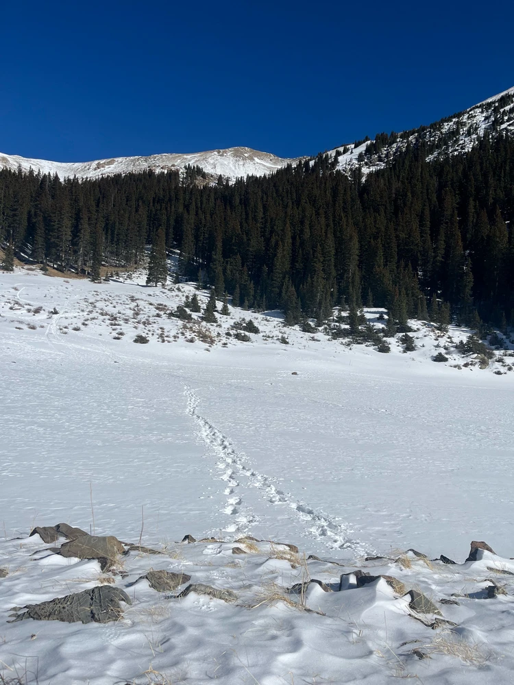 GIF uploaded by Raven