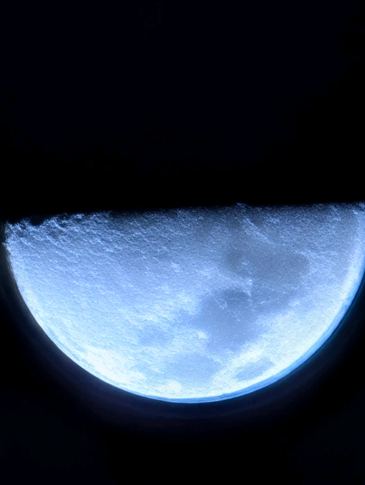 Image uploaded by Michael