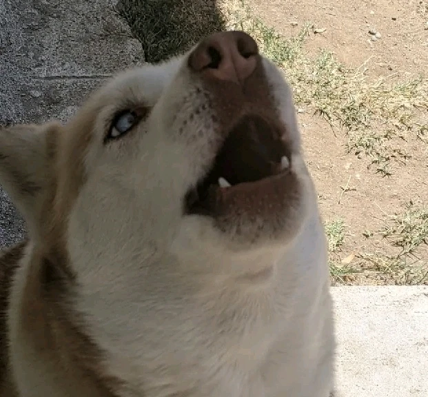 Image uploaded by Leila