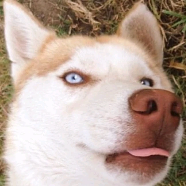 Image uploaded by Leila