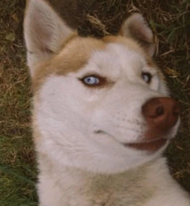 Image uploaded by Leila