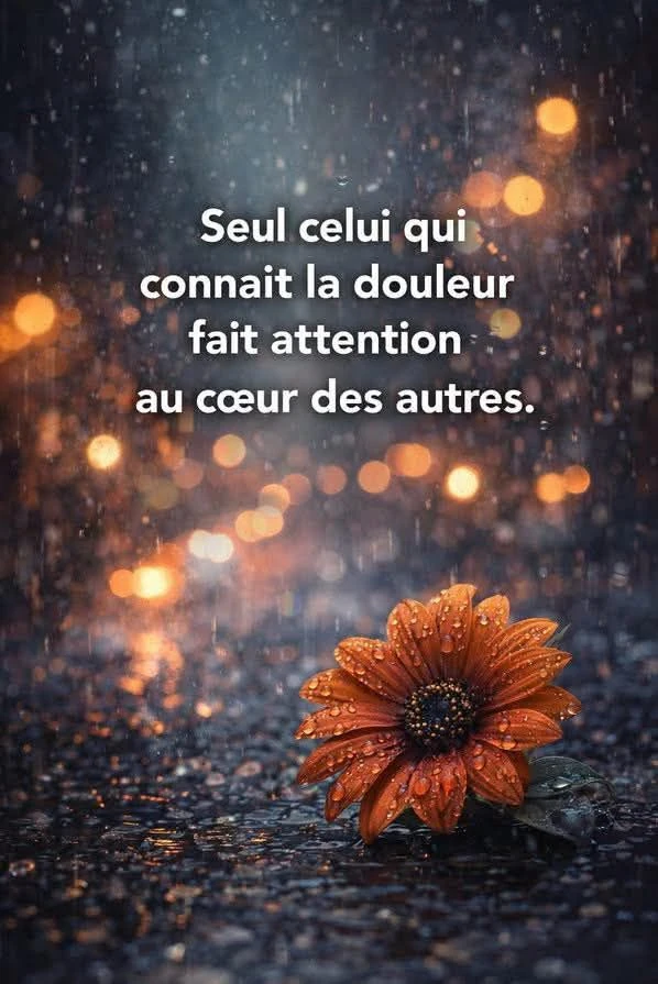 Image ajoutée par Stephane