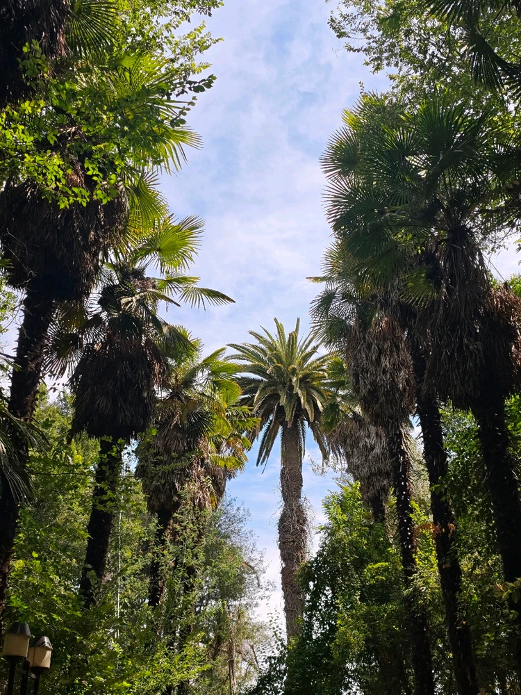 GIF uploaded by Karina