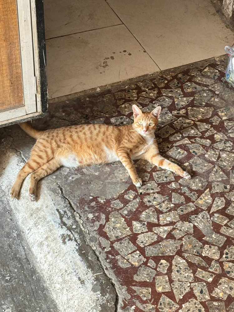 GIF diunggah dening Tanish