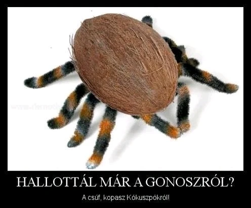 Dávid által feltöltött GIF