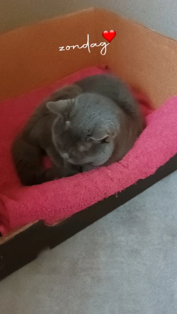 GIF geüpload door Elien