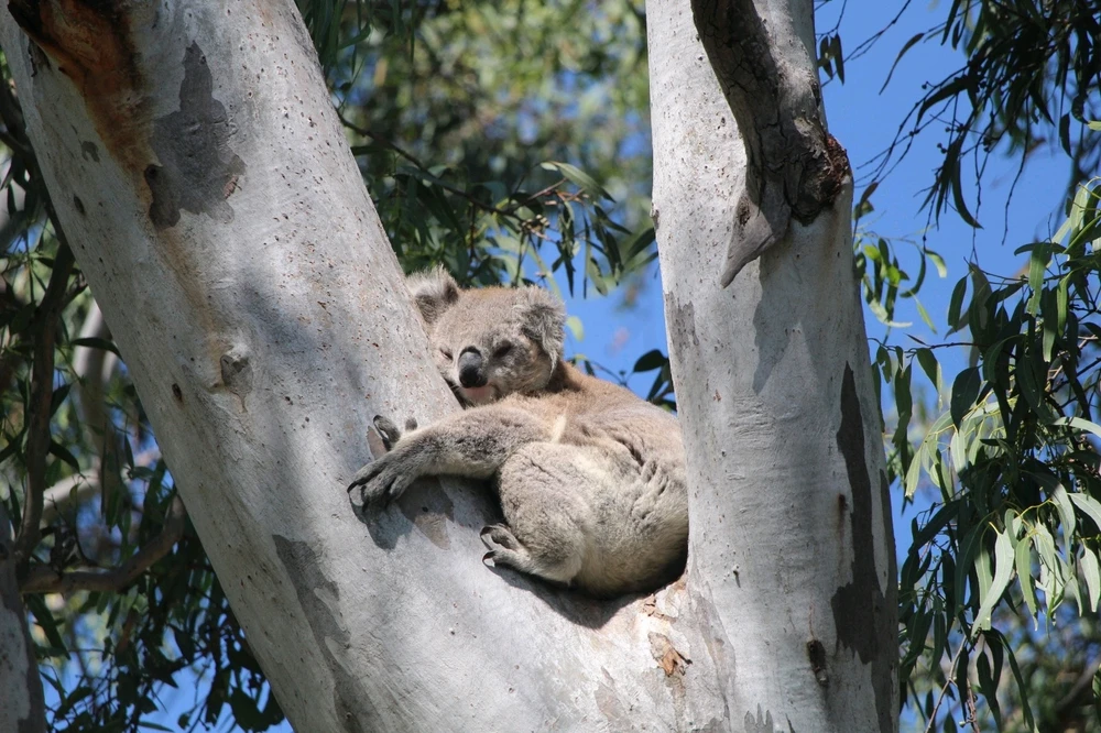 GIF uploaded by Aleš