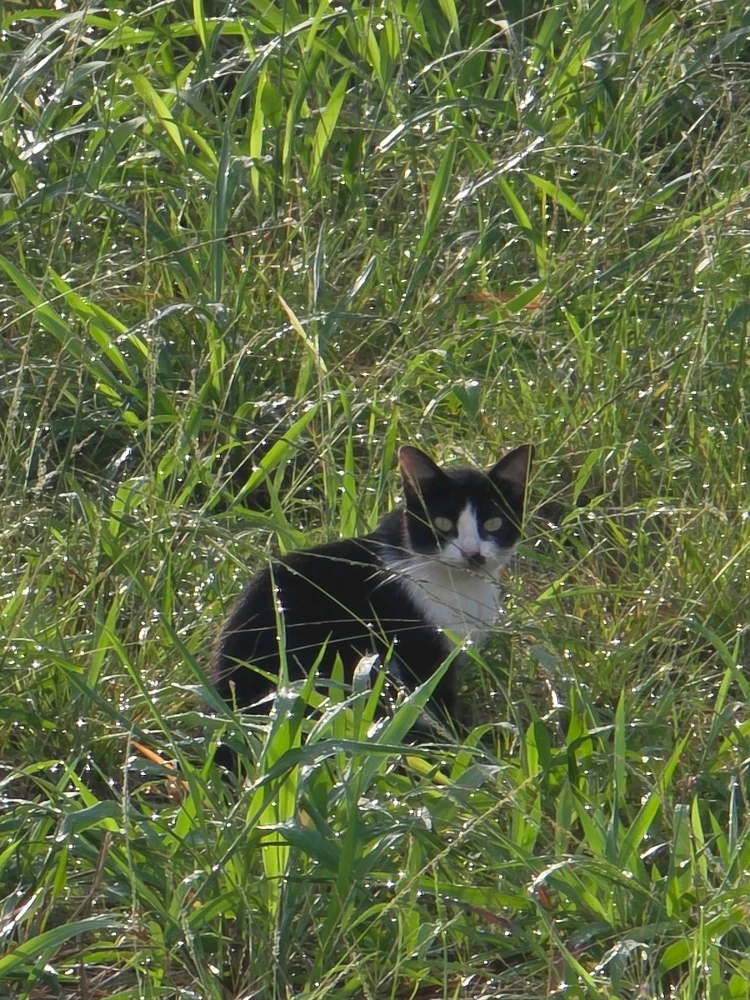 GIF uploaded by Sandra