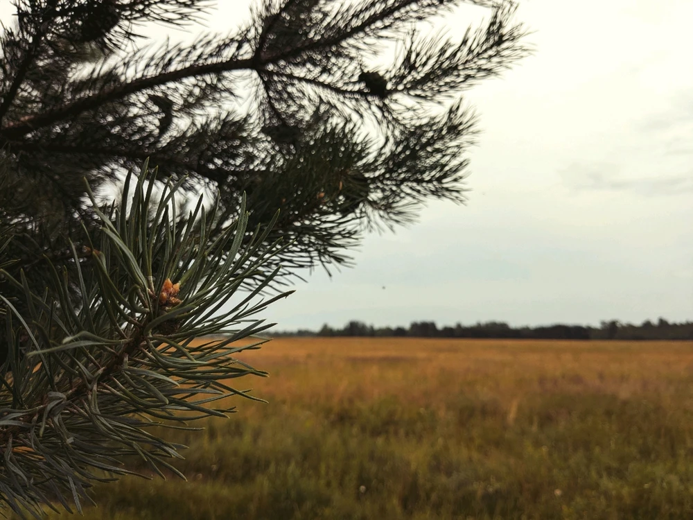 GIF загрузил Александр