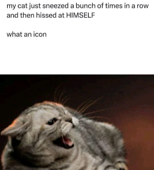 GIF diunggah dening Erica