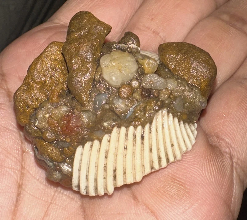 Image uploaded by Ray