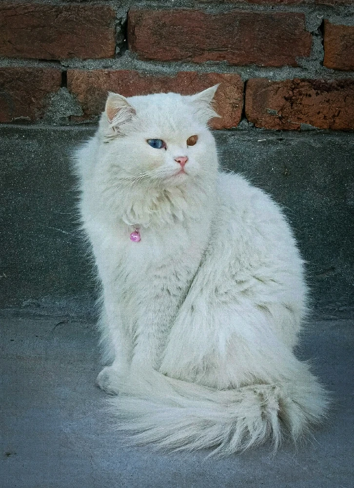 GIF uploaded by Bilal