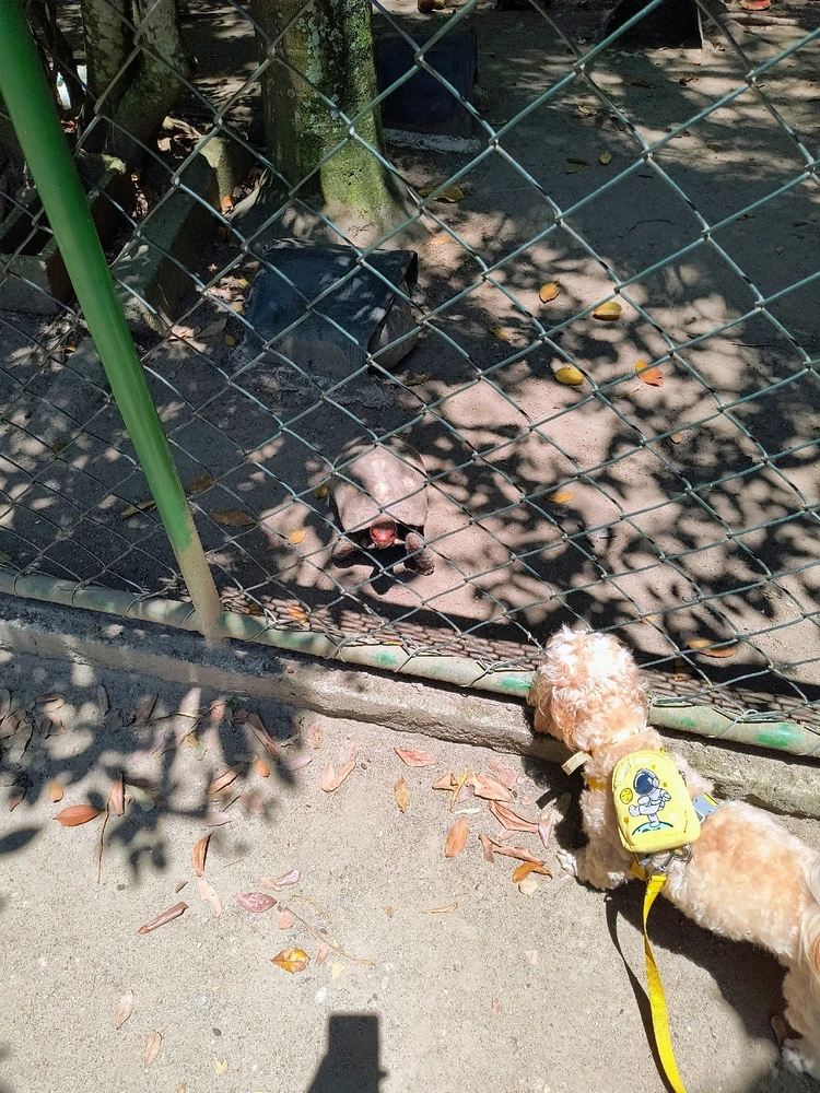 GIF diunggah dening Patrick