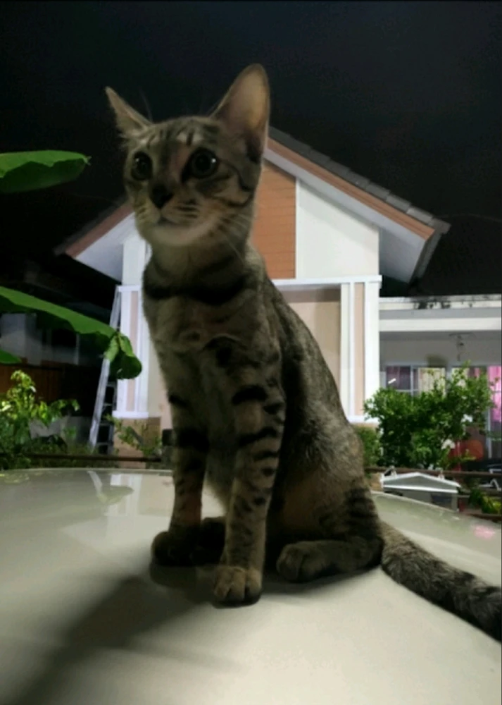 GIF uploaded by Jellyfish