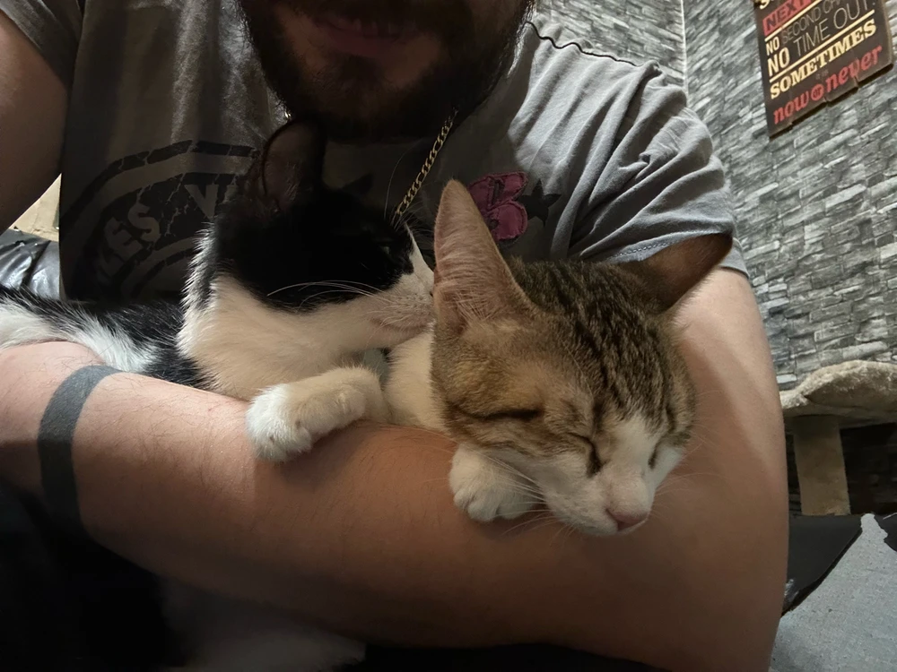 GIF ανέβηκε από Giannis