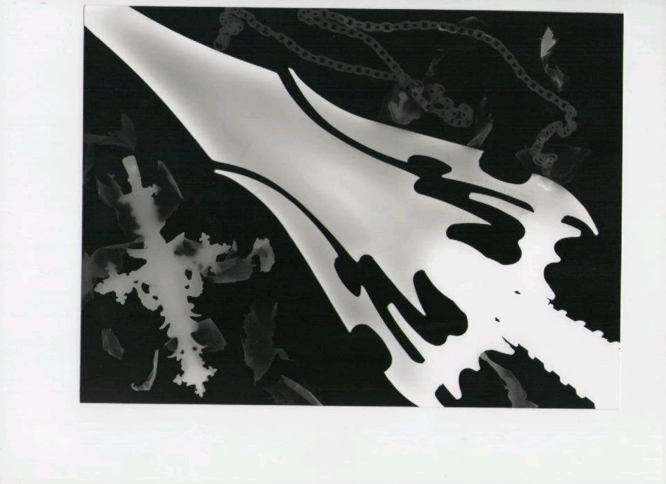 Image ajoutée par Neko🐾