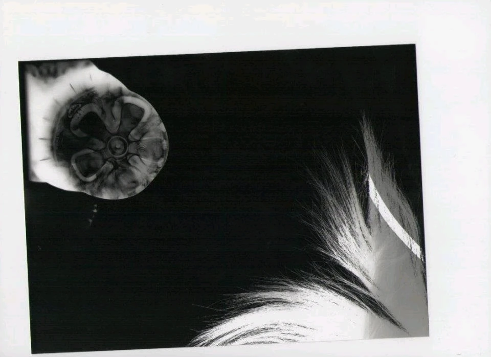 Image ajoutée par Neko🐾