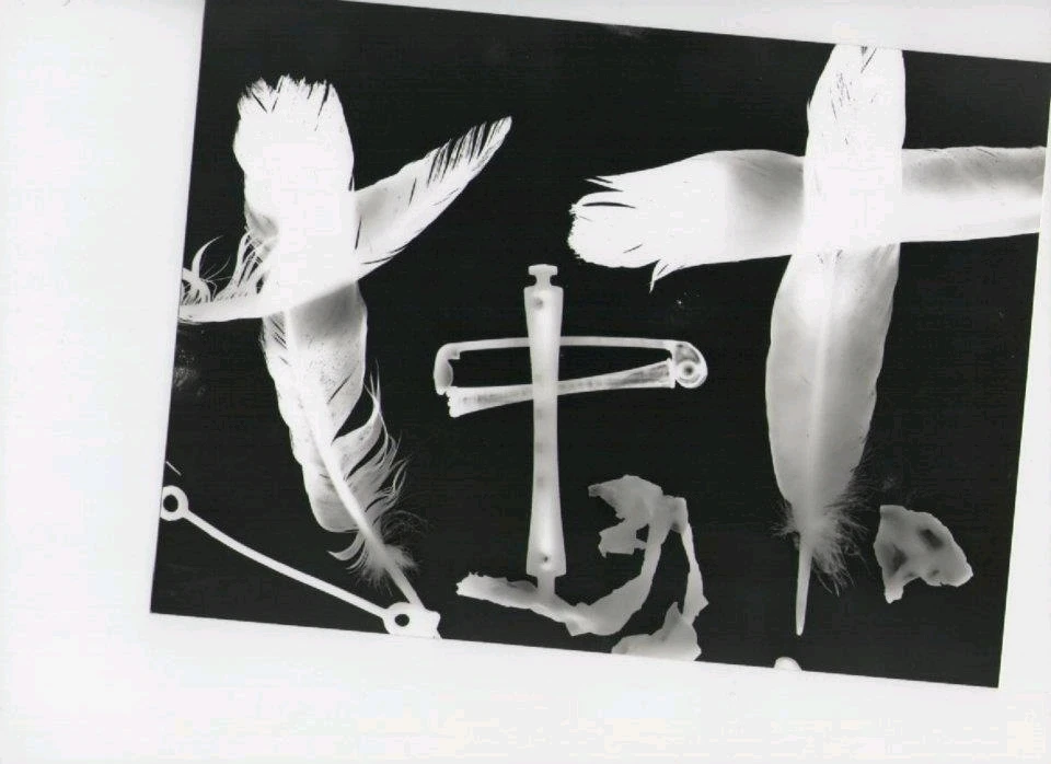 Image ajoutée par Neko🐾