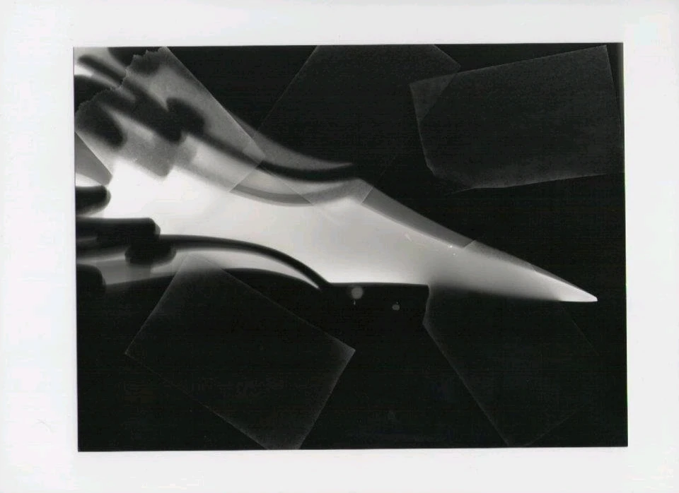 Image ajoutée par Neko🐾