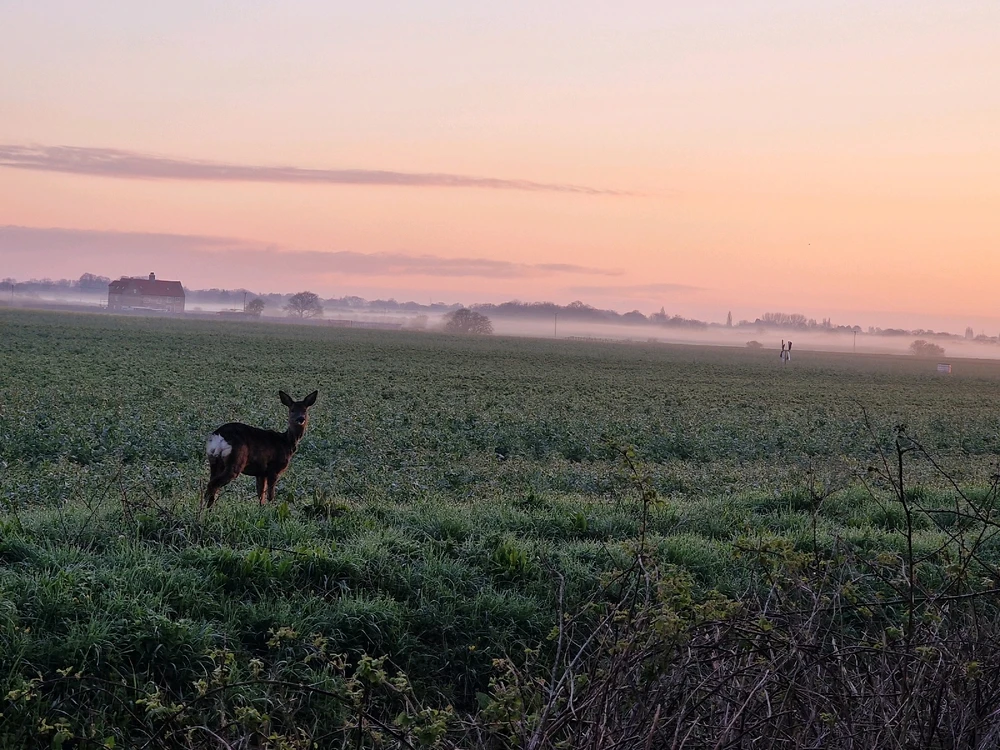 GIF diunggah dening Aidan