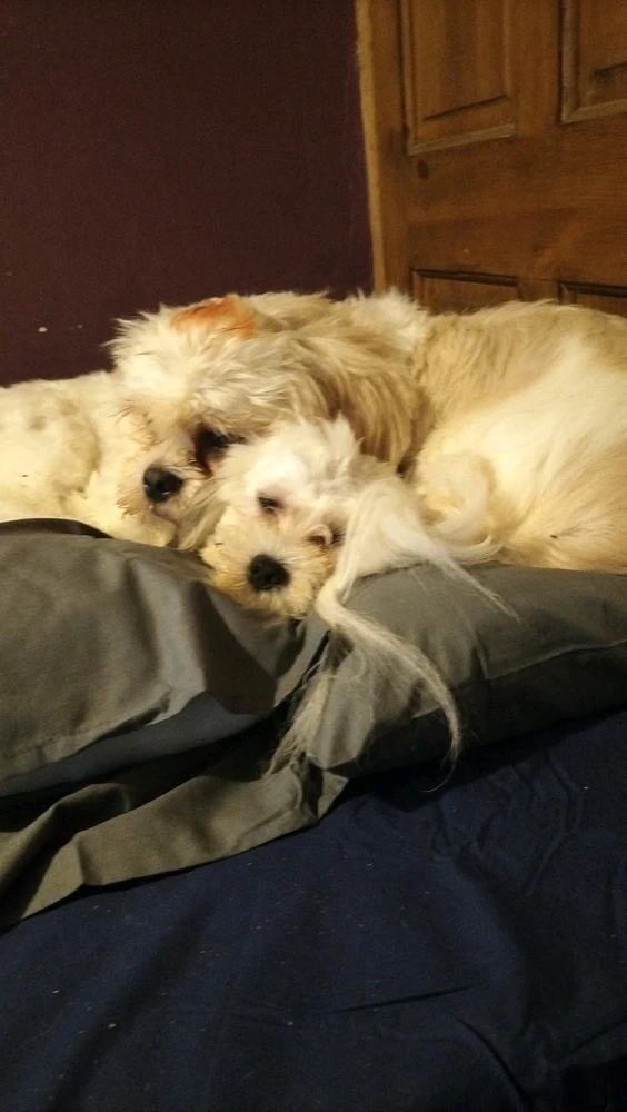 GIF diunggah dening Jordan