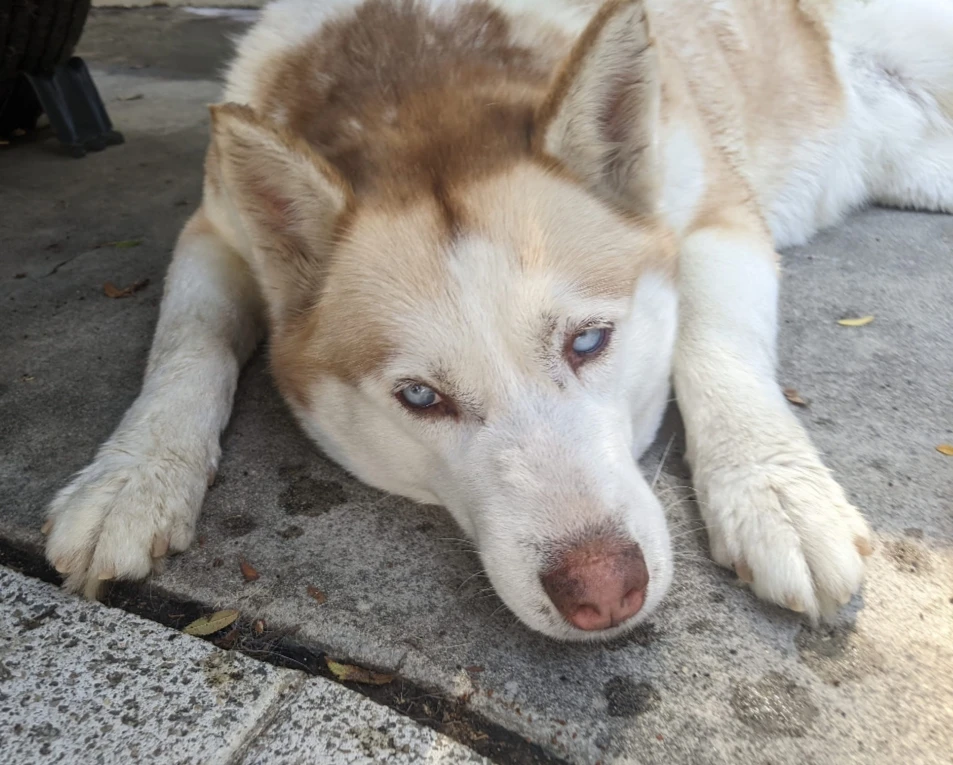 Image uploaded by Leila