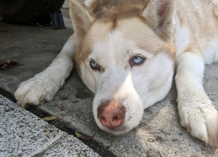 Image uploaded by Leila