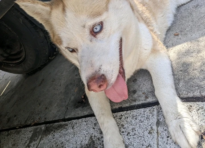 Image uploaded by Leila