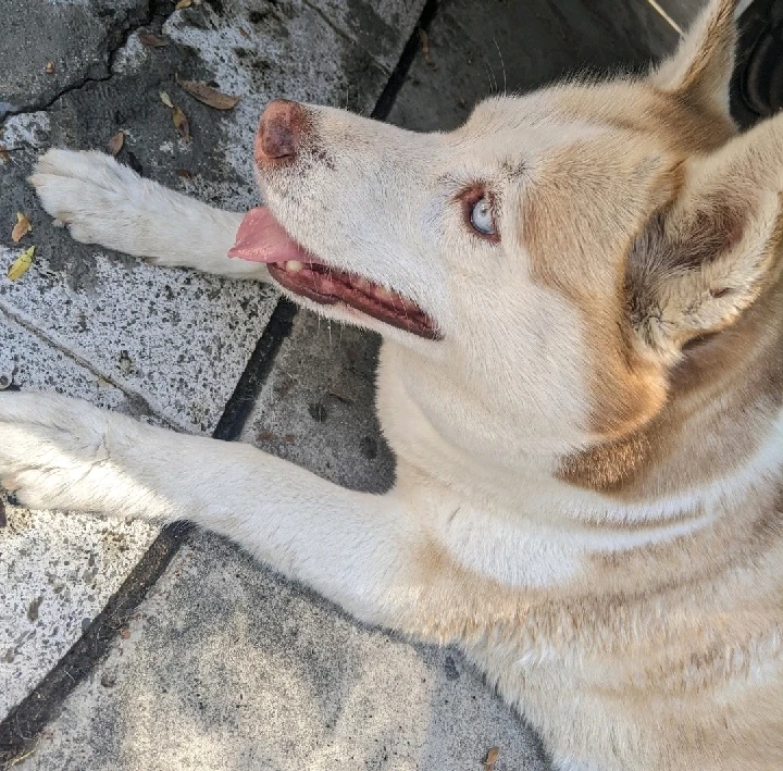 Image uploaded by Leila