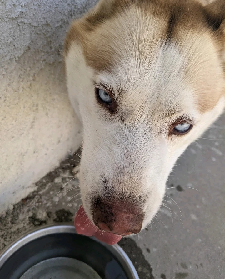 Image uploaded by Leila