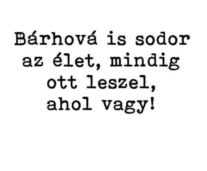 Dani által feltöltött GIF