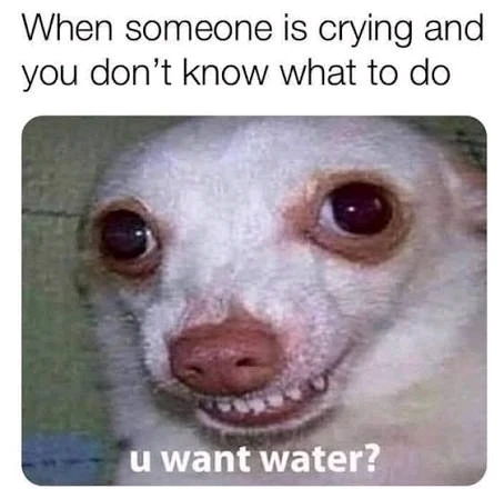 GIF uploaded by David