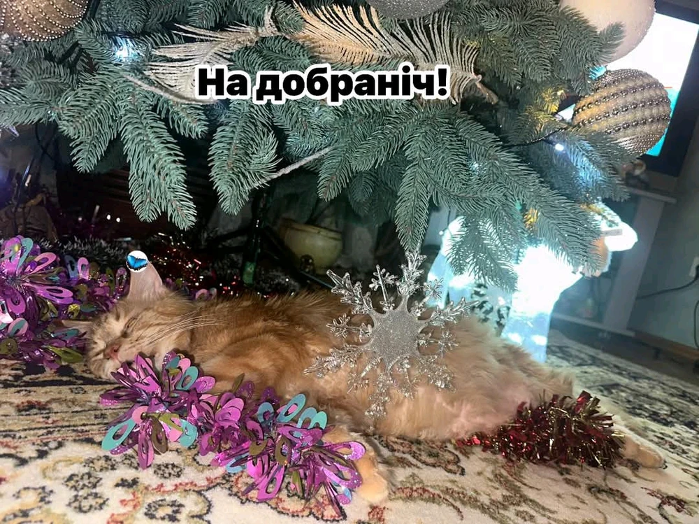 Гіфку завантажив Ruslana