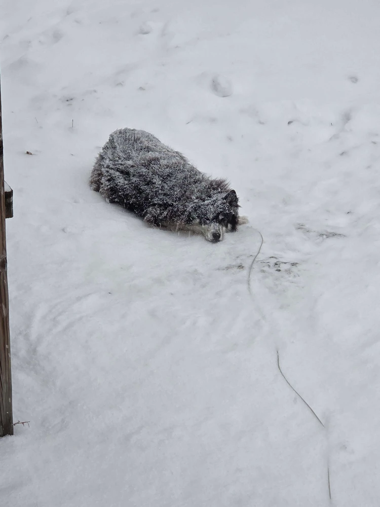 Image uploaded by Michael