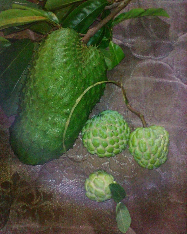 GIF uploaded by Riku