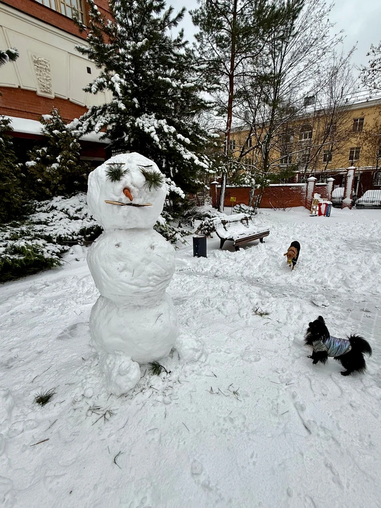 GIF diunggah dening Alena