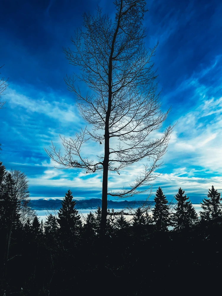 Fotku nahral/-a Barbora