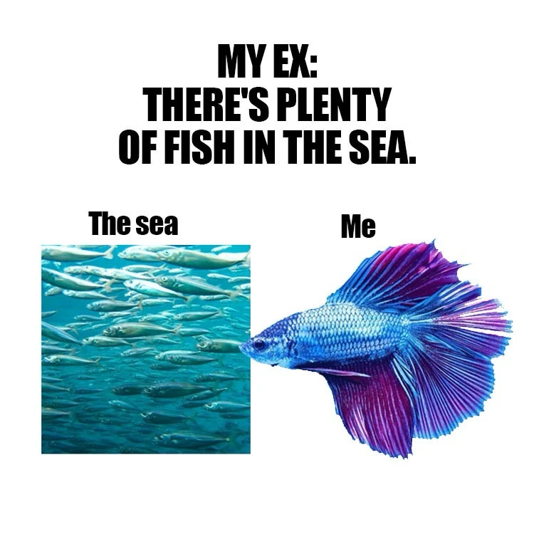 Image uploaded by Katherine