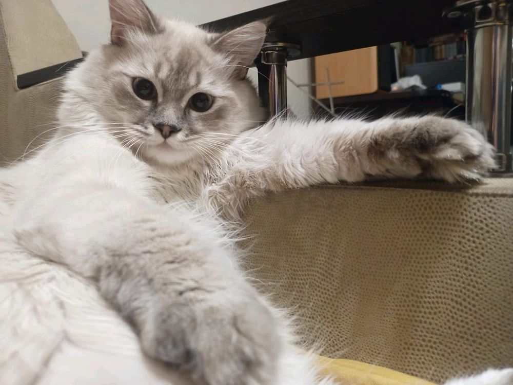 Гіфку завантажив Інна