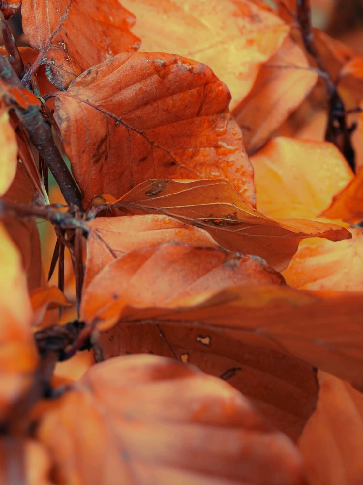 GIF uploaded by Sonny