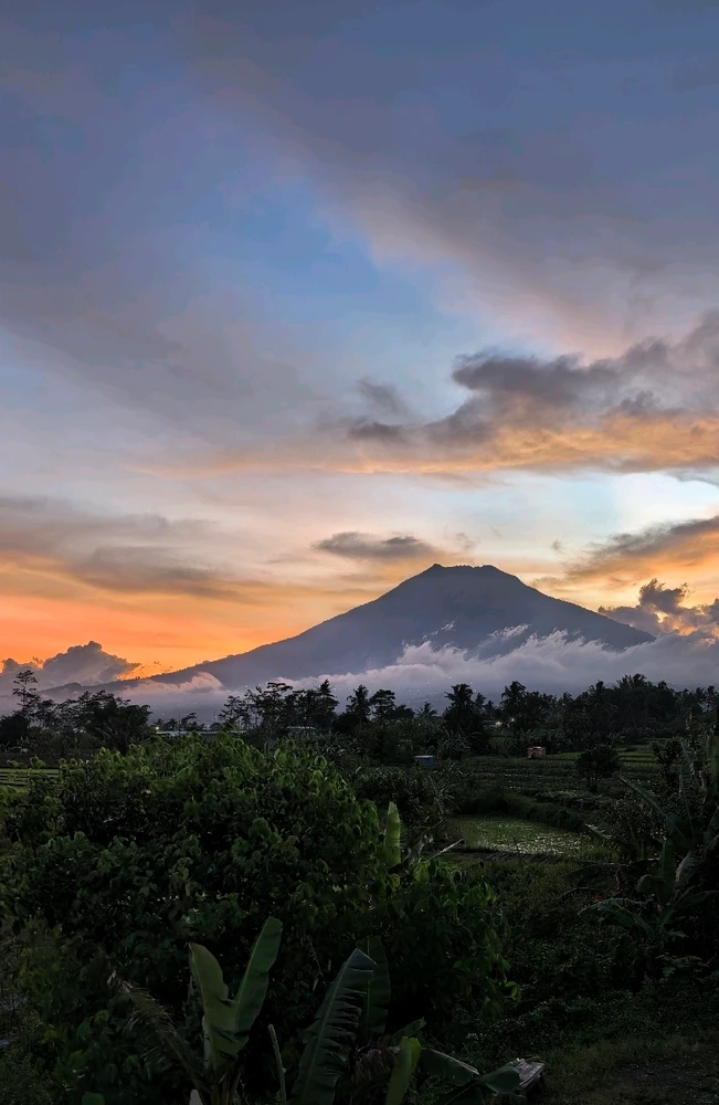 Image uploaded by Lux