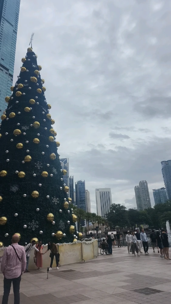 由立辰上传的图片