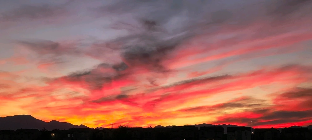 Image uploaded by Morgan