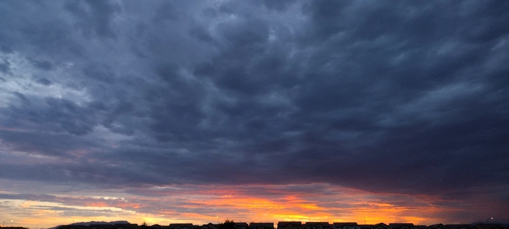 Image uploaded by Morgan