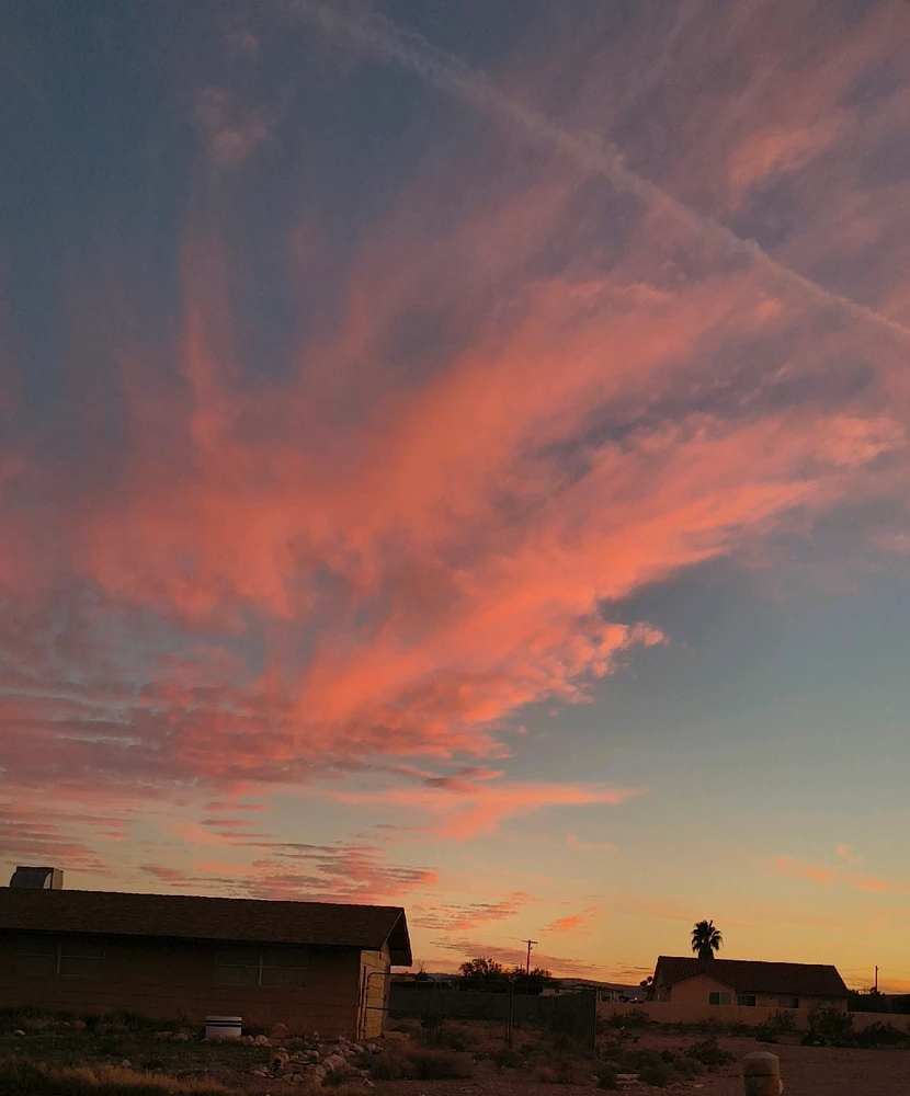 Image uploaded by Morgan