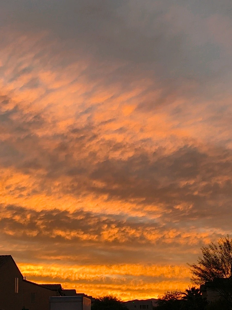 Image uploaded by Morgan