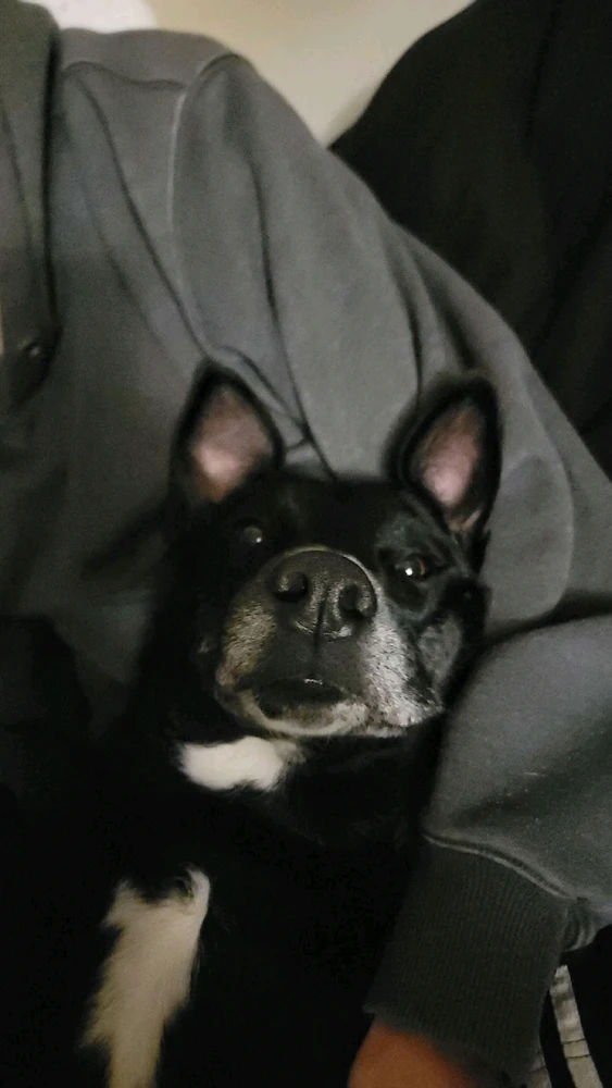 Image uploaded by Bobbie Swearingen