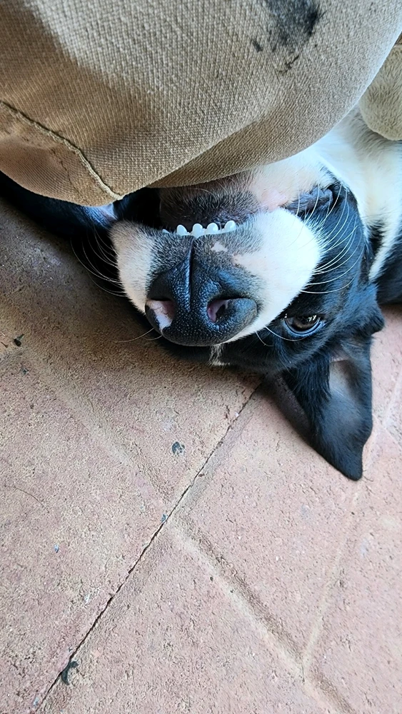 Image uploaded by Bobbie Swearingen