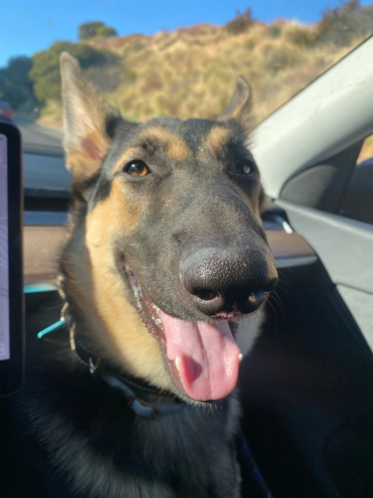 Image uploaded by Sarkhan